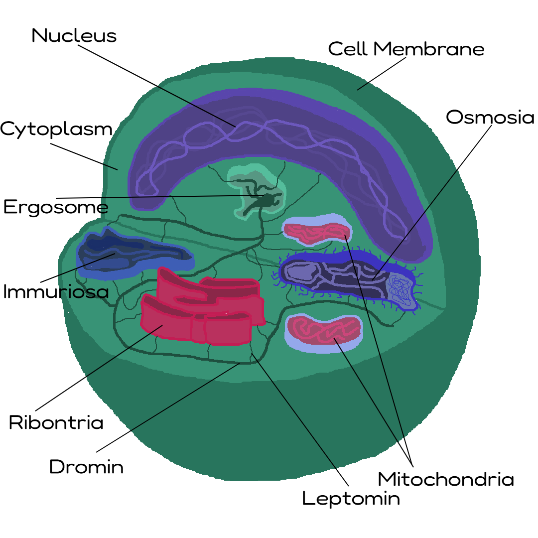 Proviyote.png