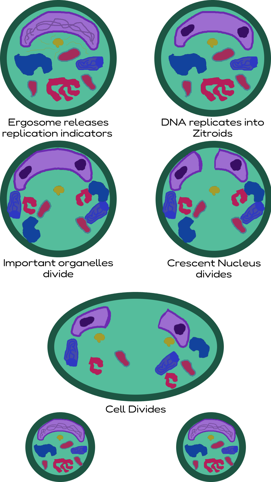 proviyote_division.png