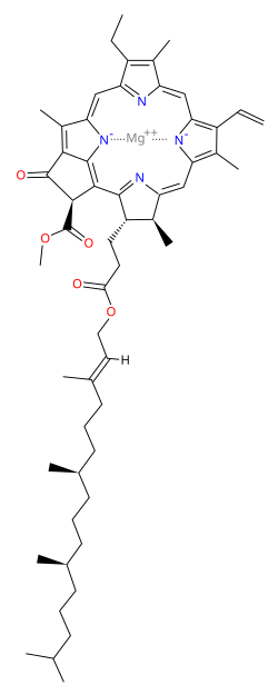 azuraphyll.webp