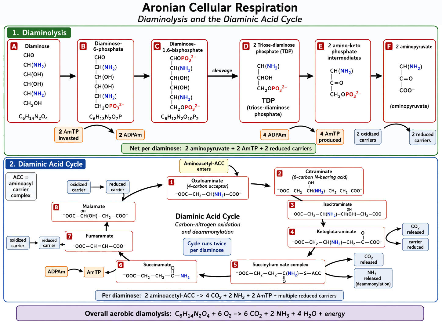 Aronian_cellular_respiration.png