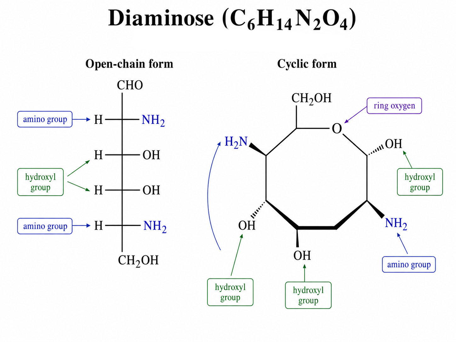 diaminose.png
