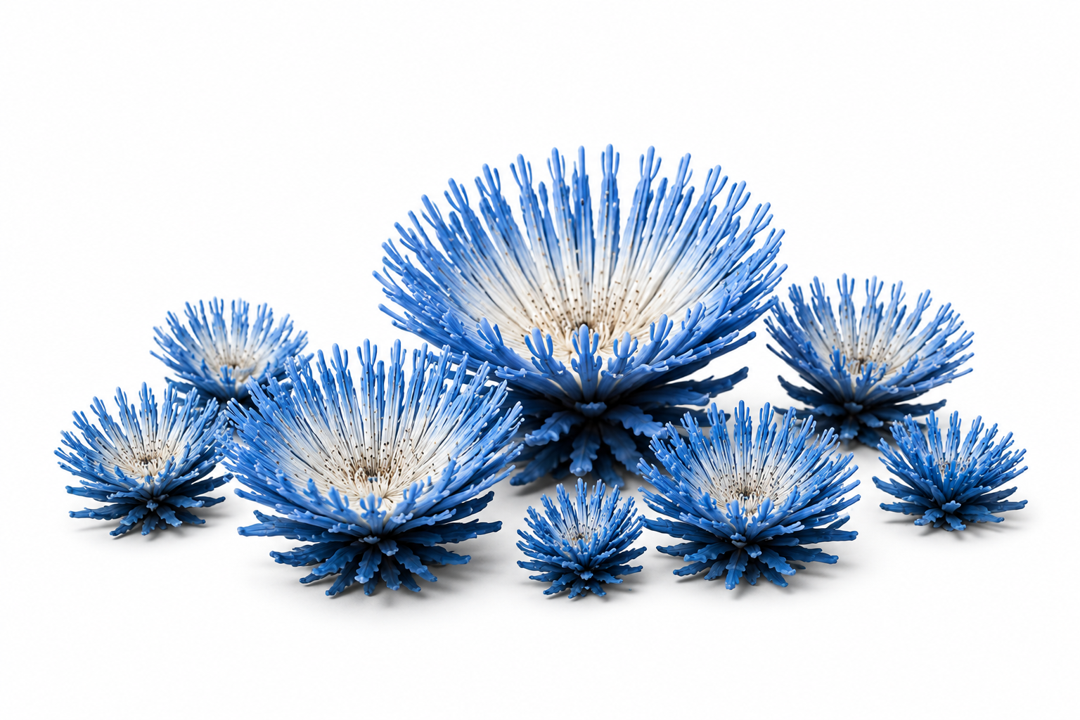 mirai_bush.png