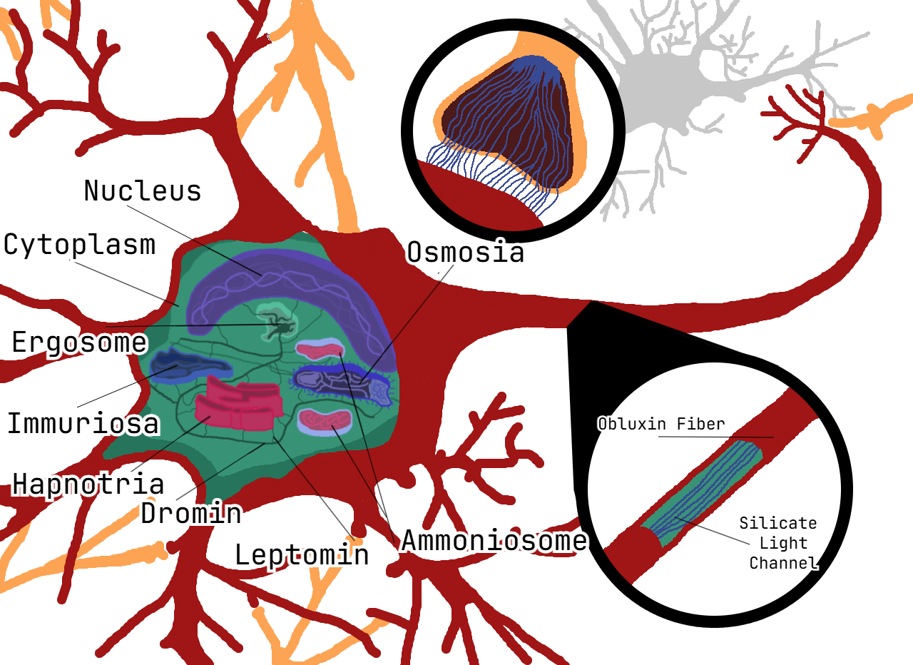 photoneuron_diagram.png