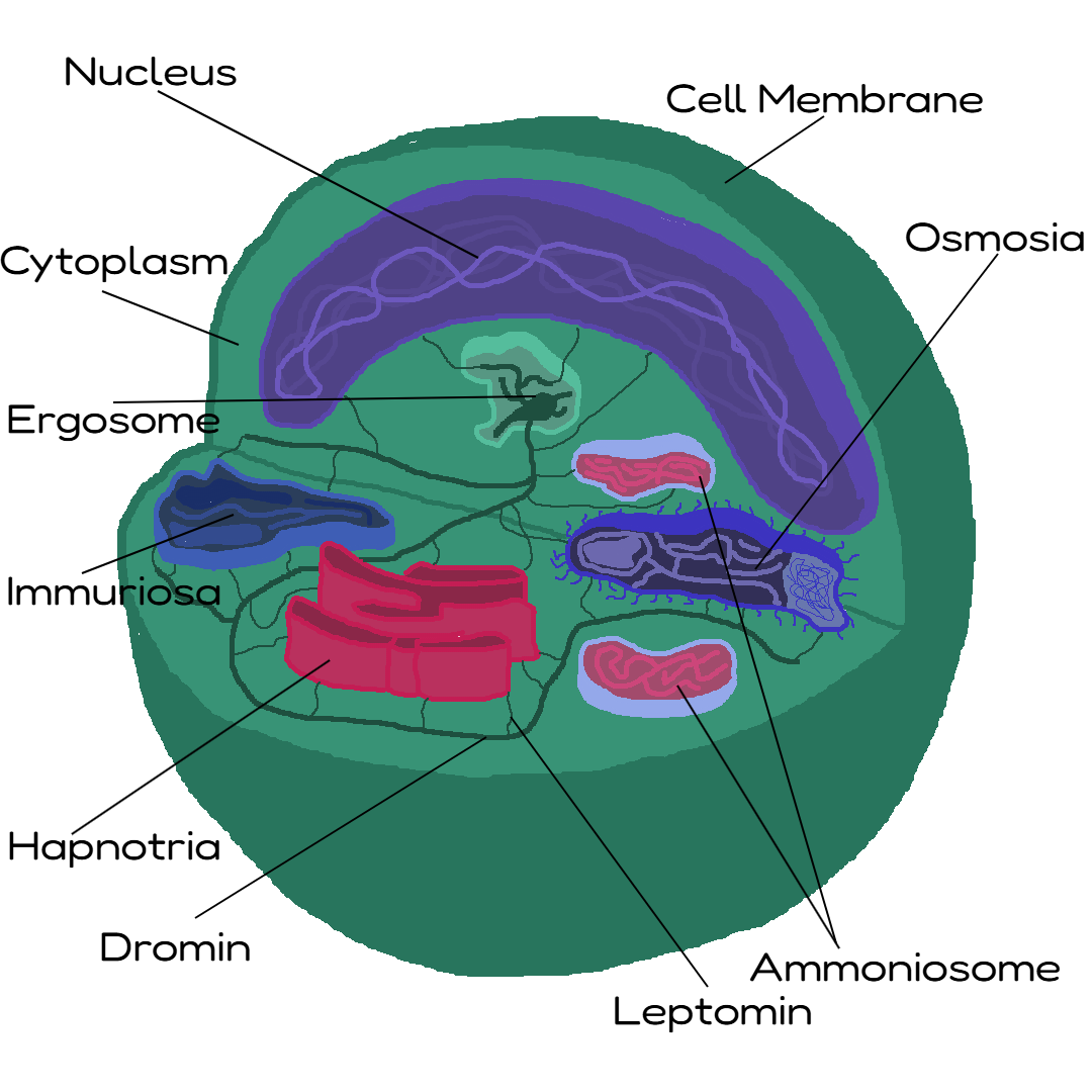 Proviyote.png